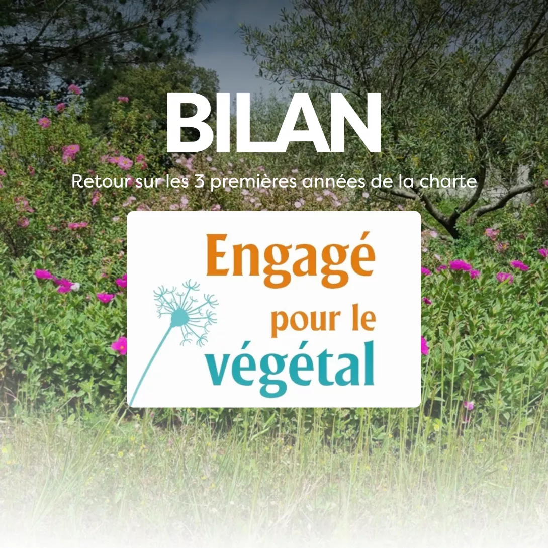 Bilan