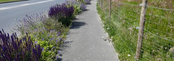 Massifs de plantes vivaces, Commune de Villers-Bocage (14)