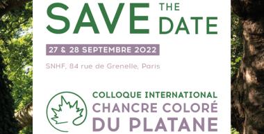 Save the date - colloque chancre coloré du platane