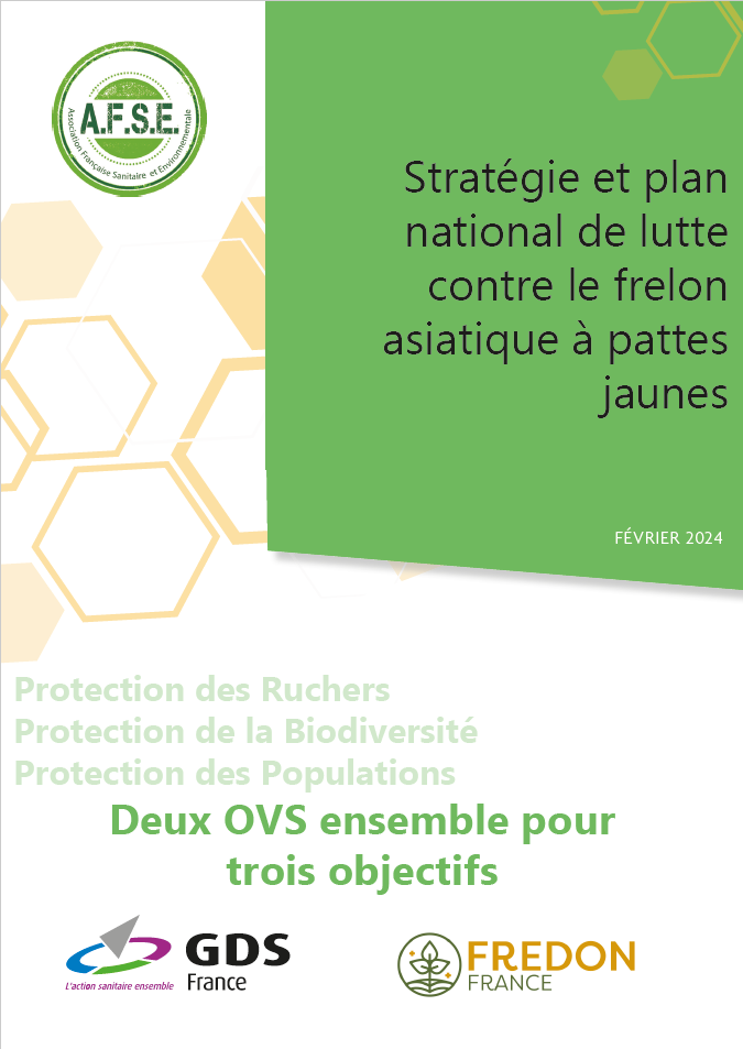 stratégie nationale de lutte contre le frelon asiatique à pattes jaunes dangereux pour l'homme et pour les abeilles ruches